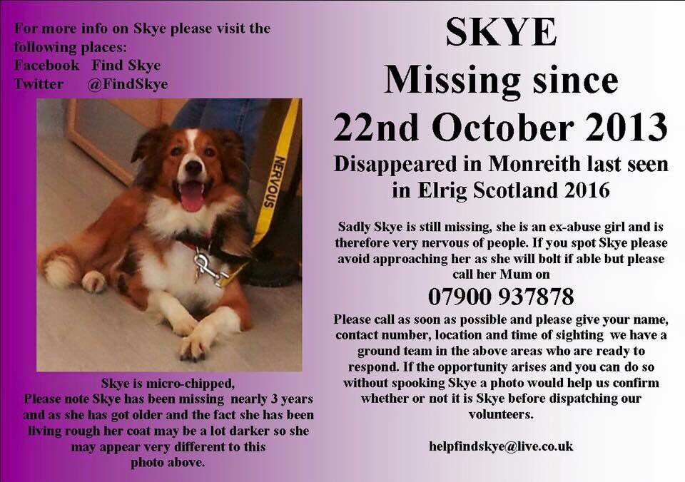#FindSkye #MissingDog 22.10.13 #MissingThreeYears #Monreith #Elrig #Scotland #ScanMe <a href="/findskye/">Skye</a>
#CheckThatChip