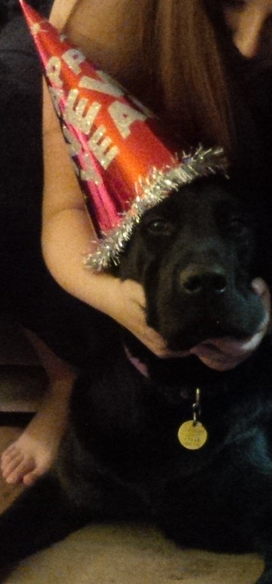 CADPATPup's tweet photo. Okay, I DID NOT like the hat, but I still wish everyone a Happy New Year #NewYearsEve2017 #CYA2016 https://t.co/k2sZD3ablX