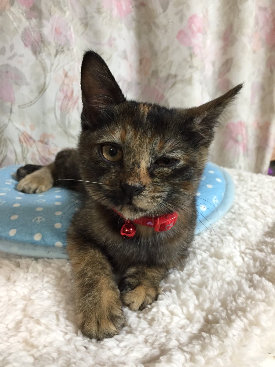 今年もよろしくです☆ウィンク