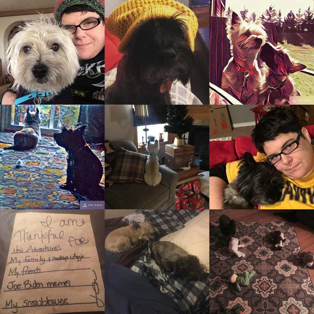 Evidently my life is all about my dogs #2016bestnine