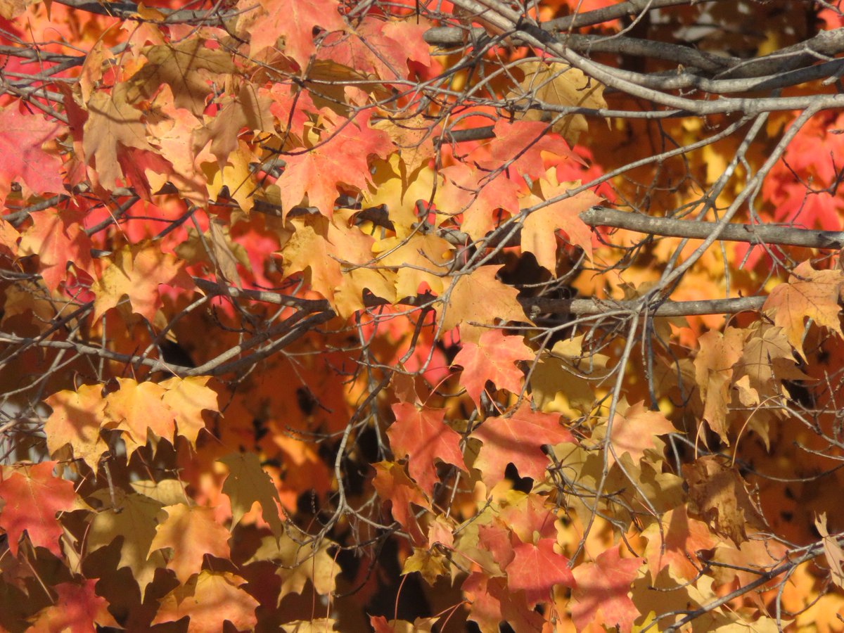 PLKlein_Author's tweet image. "There is nothing deep down inside us except what we have put there ourselves." ~ #RichartRorty #QuickQuotes #DeepDownInside