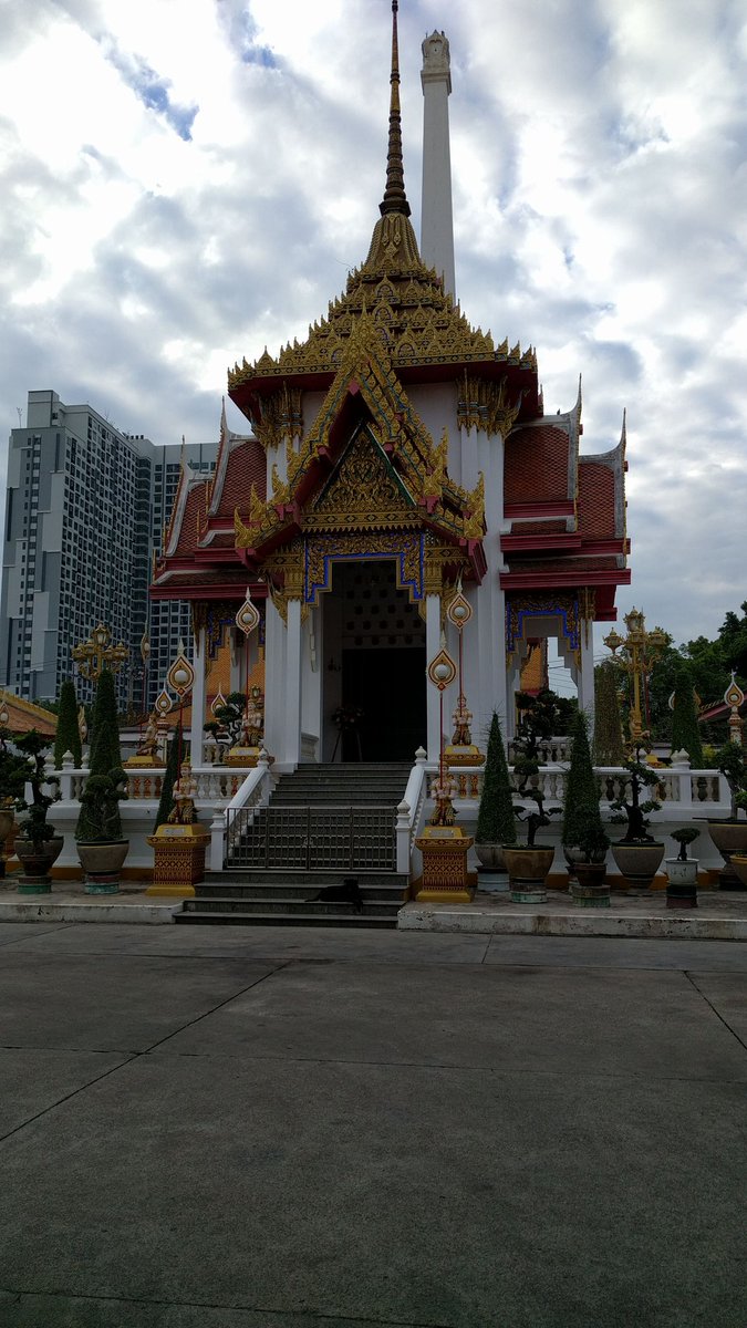 kronosboy's tweet image. This morning #firstdayof2017