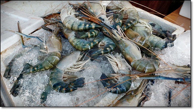jarnded's tweet photo. เล่นกับ "กุ้งแม่สอด" ในวันสิ้นปี มีหรือจะไม่ฟิน https://t.co/MC0OAejn2B https://t.co/3auWU89Mvn