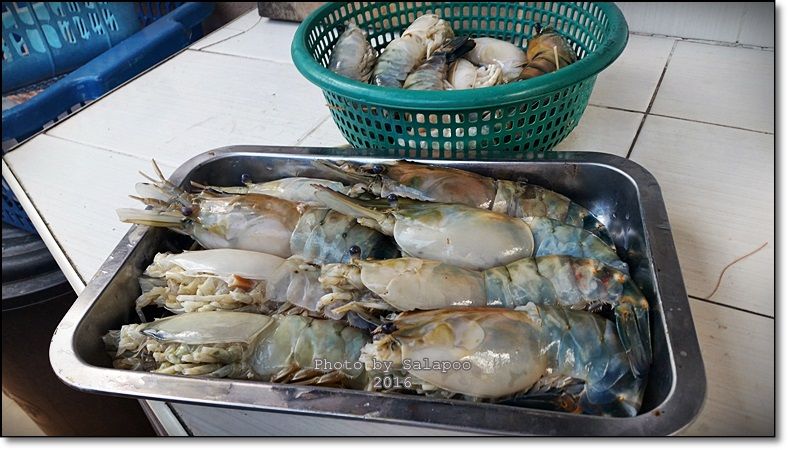 เล่นกับ "กุ้งแม่สอด" ในวันสิ้นปี มีหรือจะไม่ฟิน pantip.com/topic/35966508…