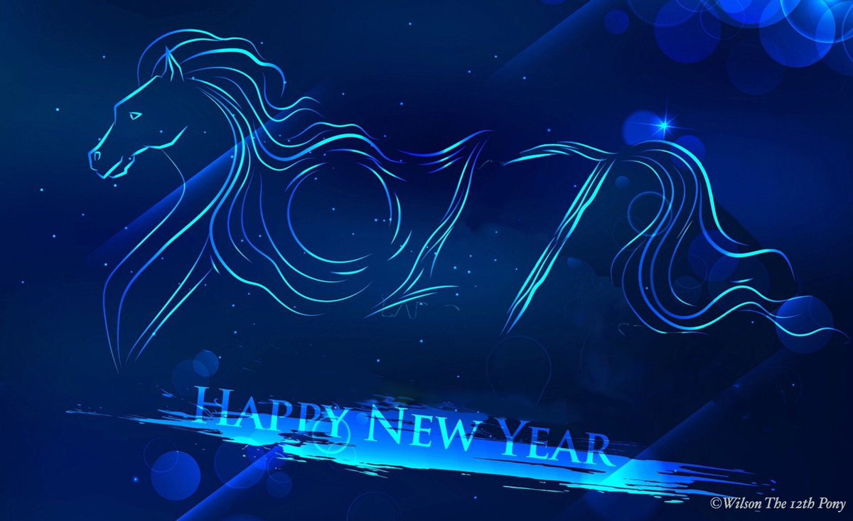12thPony's tweet photo. Happy New Year!! 2017 is going to be amazing!!! 💙💚🐴 Love, Wilson 

#Seahawks #WeAre12 #12thPony #WilsonThePony https://t.co/W5K4sWoq46