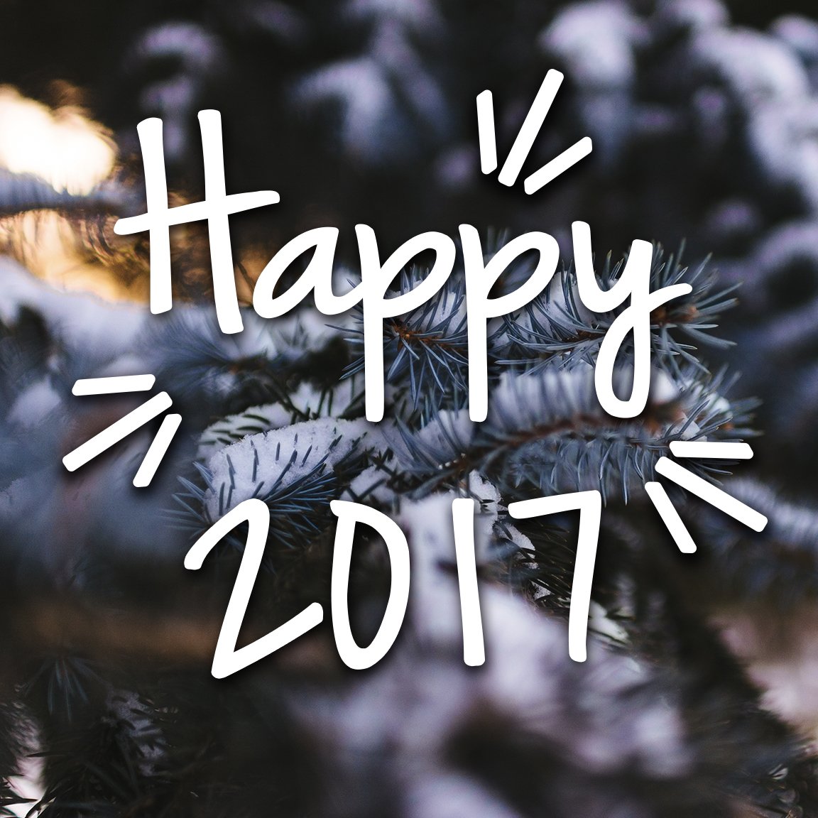 urbaneatin's tweet photo. Cheers to a new year and a new growing season! #UrbanEatin #HappyNewYear #WeGetYouGrowing #Winnipeg https://t.co/YdE5AGhaOm