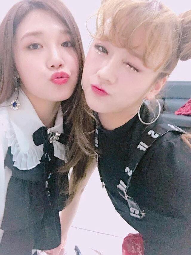 _bbomfanboy's tweet photo. cuties😍😍😍😍😍😍 https://t.co/HA7ZLeN1zm