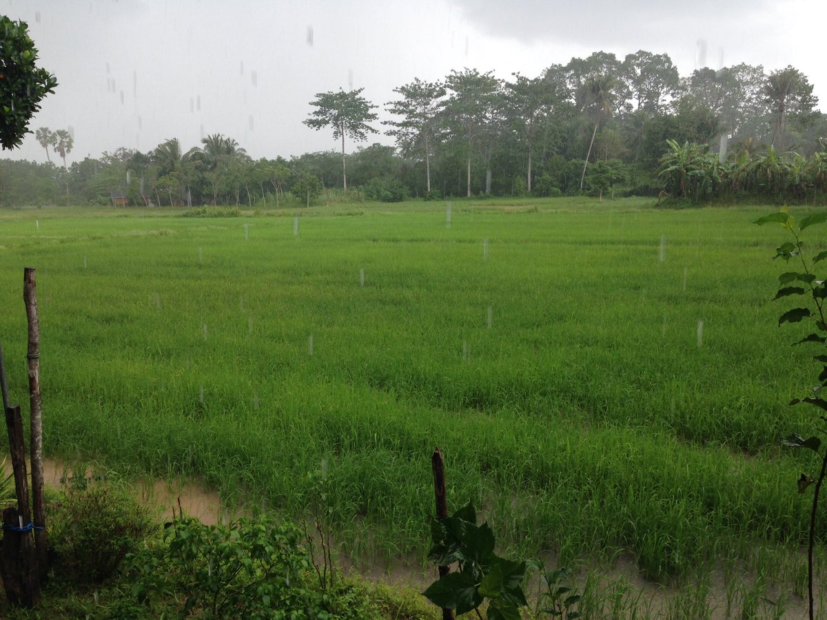 AssawinP's tweet photo. @ควรขนุน พัทลุง ฝนตกครับ https://t.co/ipIZPkYt12