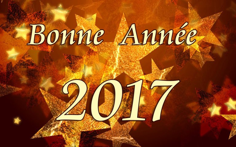 L'équipe Machineryzone vous souhaite une très belle année 2017!