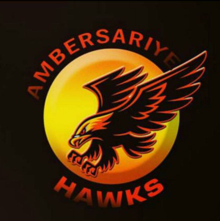 #AmbersariyeHawks wish you a very happy 2017!
The year begins with a Sunday, isn't it great? ;) #BolBalle !
#happynewyear #happy2017