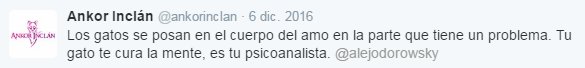 Los gatos se posan en el cuerpo del amo en la parte que tiene un problema. Tu gato te cura la mente, es tu psicoanalista