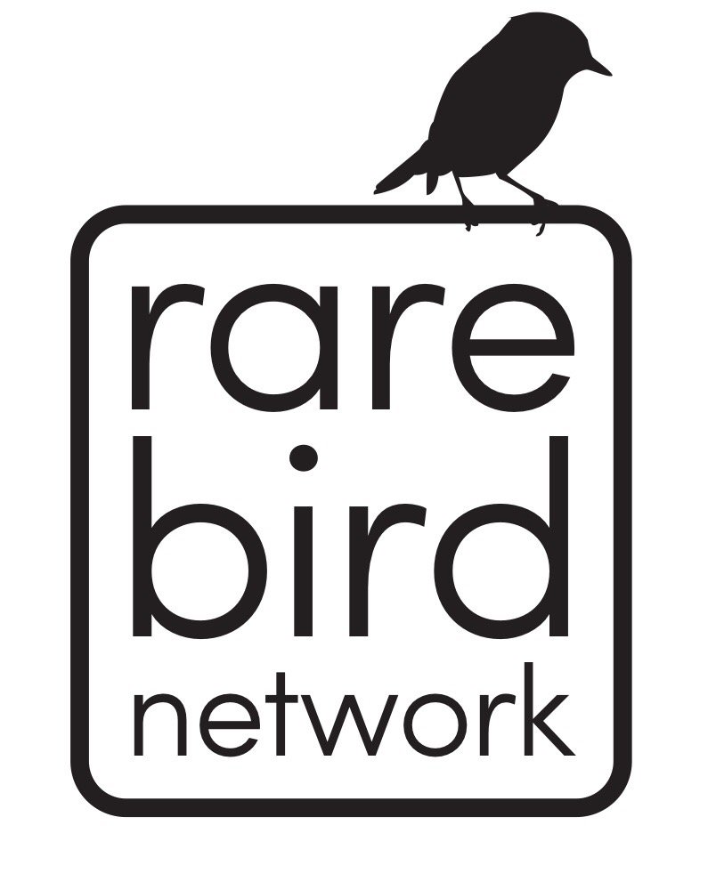 After much consideration have decided to take a break from <a href="/rbnUK/">Rare Bird Network</a> Twitter for the foreseeable future. Have a great 2017. Good birding. :)