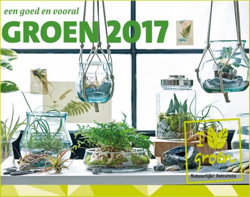 Wij wensen je een gezond en 'groen' 2017!  Fleur je huiskamer op, begin met groen! Intratuin inspireert en informeert je graag, ook in 2017!