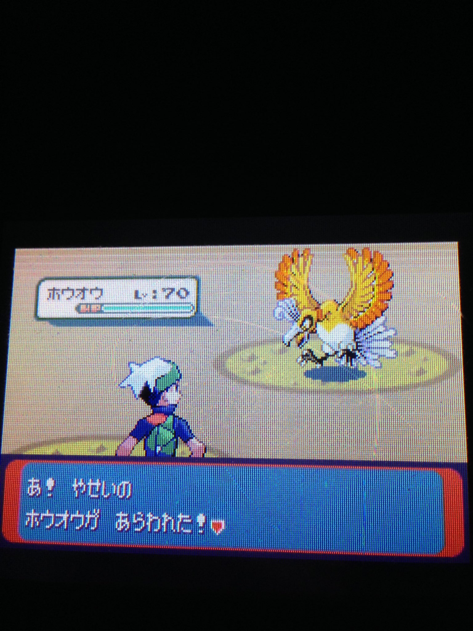 コウキ ガラル色46 種類 Naname Pkmn おぉ ななめさん色ホウオウおめでとうございますー O 今年初の色違いが3世代で しかも元日とは すごいです ﾟdﾟ Twitter