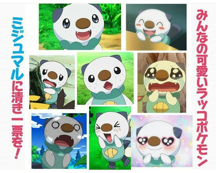 みじゅか En Twitter きっかけはポケモン 総選挙でした あんまりポケツイやってなかったけどミジュマルを少しでも上位にしてあげたいと思い ミジュマル好きさんを探してみました おかげでミジュマルや ポケモン好きのかたとつながることが出来ました 皆さんの17 みじゅか En Twitter きっかけはポケモン 総選挙でした あんまりポケツイやってなかったけどミジュマルを少しでも上位にしてあげたいと思い ミジュマル好きさんを探してみました おかげでミジュマルや ポケモン好きのかたとつながることが出来ました 皆さんの17