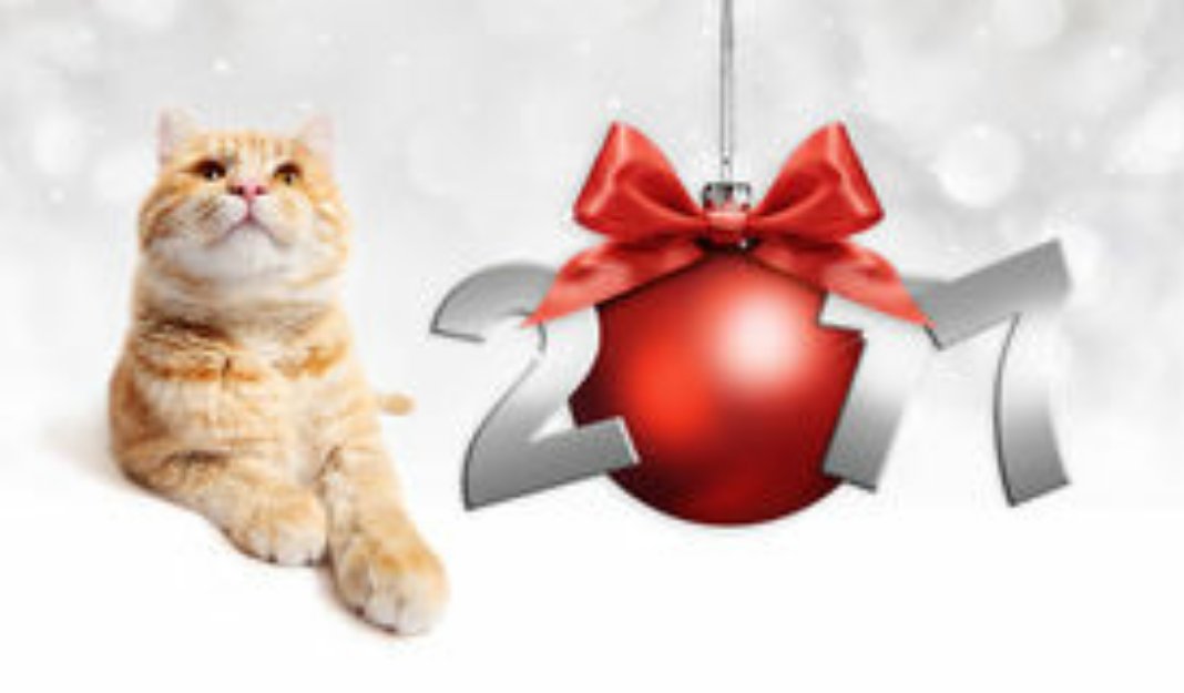 #Felizano2017 <a href="/Mbarakaja_Py/">Mbarakaja_Mborayhu</a>
feliz año!!!
Gracias por un gran año...