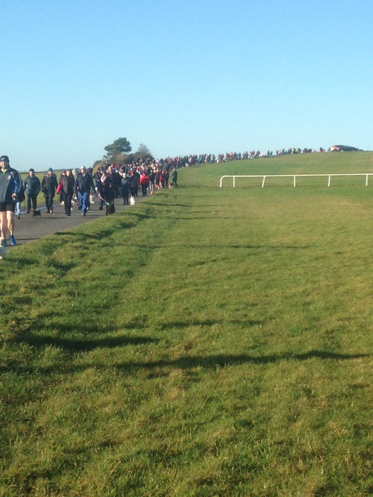 Curragh Dog Walk tweet media