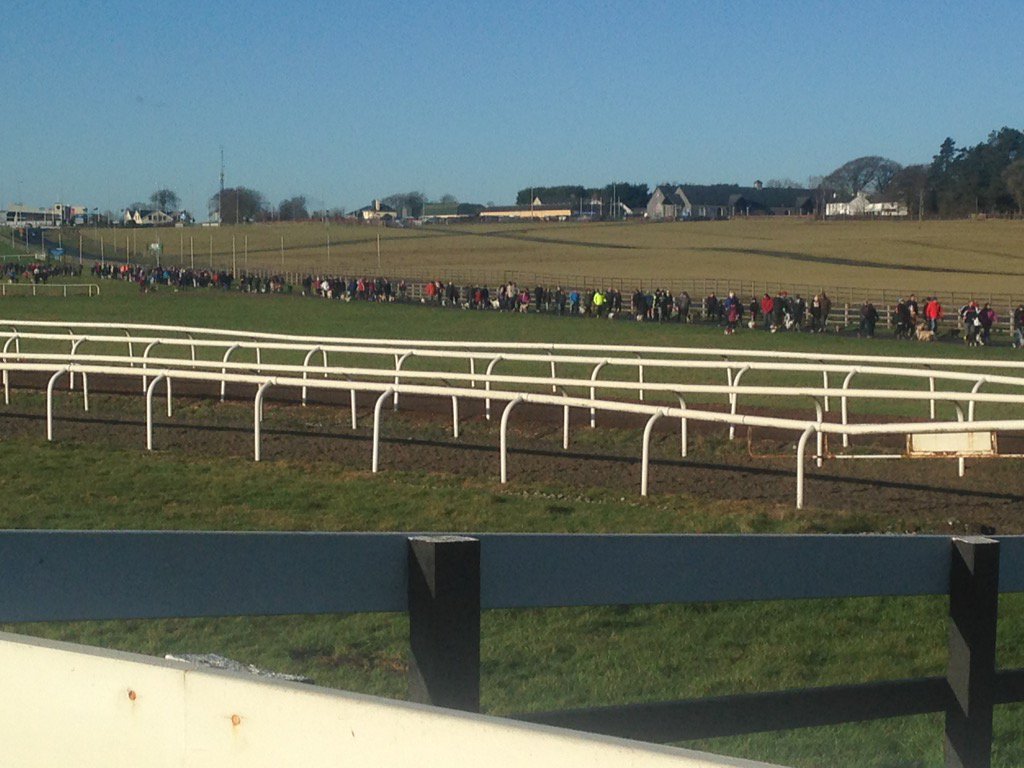 Curragh Dog Walk tweet media