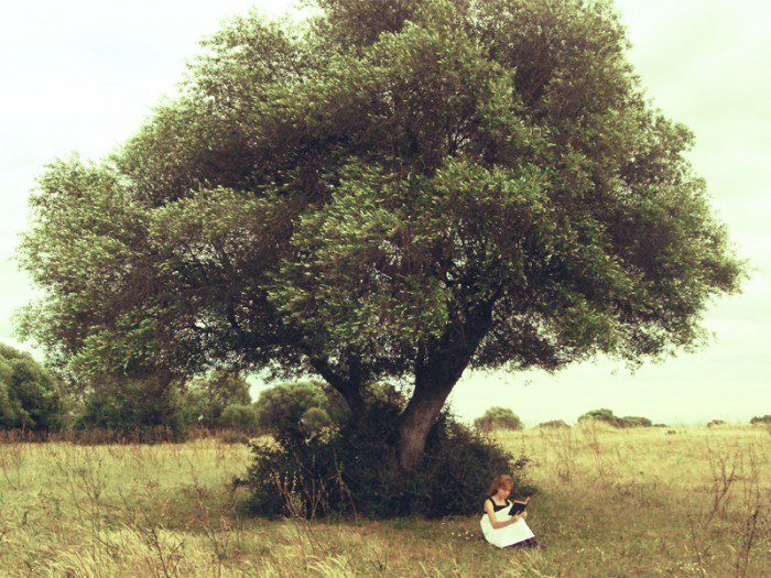 .@radio3_rne #AlonsoDeHerrera Es una buena obra, poner un árbol. Aprovecha a presentes y venideros. 
#Soyforestal