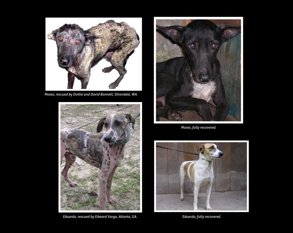 Struggling  #charity in Peru, NOT THE RETAILER! We lose donations bc of them.  Pls help mo.nu/4cw5?uid=4mbC.