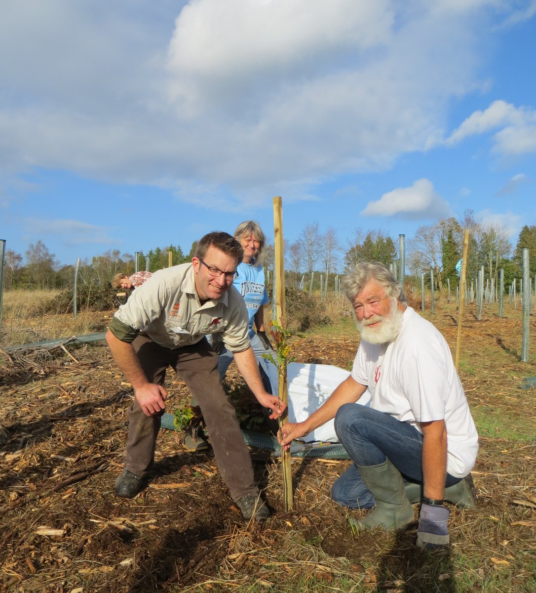 NT_NewForest's tweet photo. Start 2017 by doing something positive for conservation, join us this Sunday for tree planting at Foxbury!  https://t.co/dIWT5nN4zr https://t.co/JT8FOvCwv5