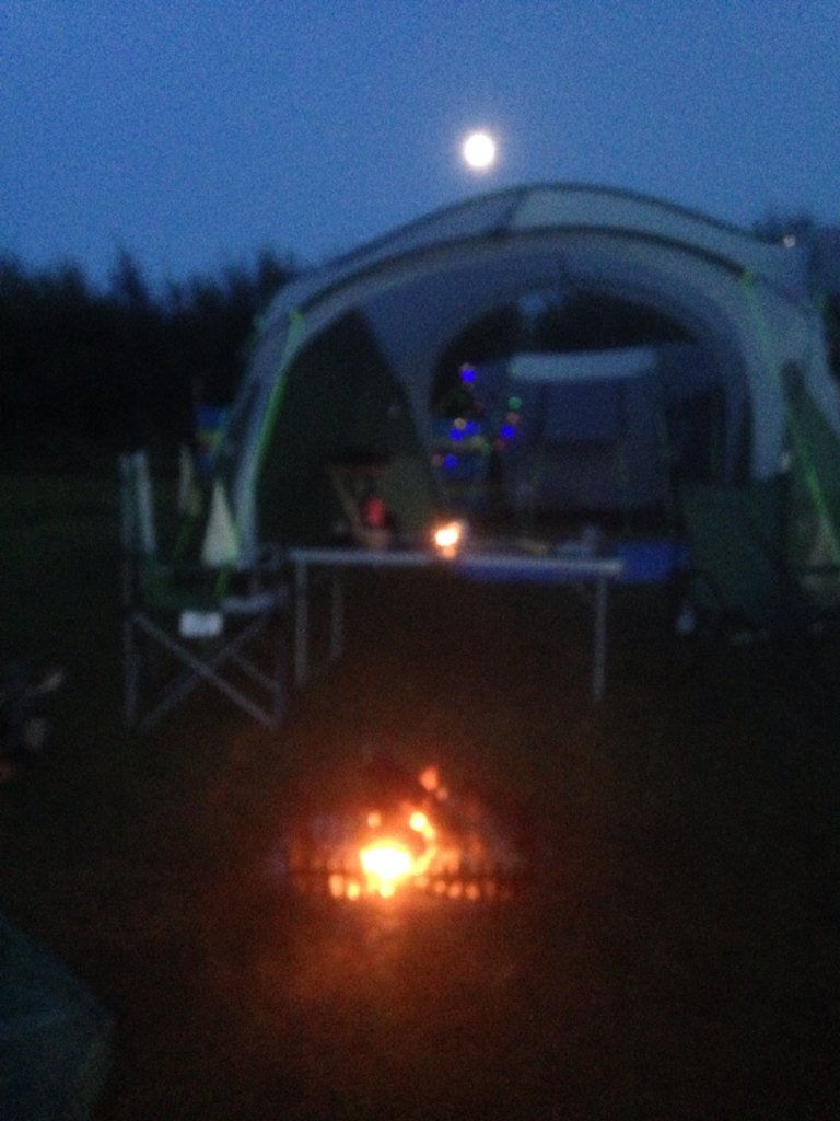 ashortstay's tweet photo. Camping in Dorset under a full moon with bats and owl hoots! #good2016 https://t.co/fojEiIekQl