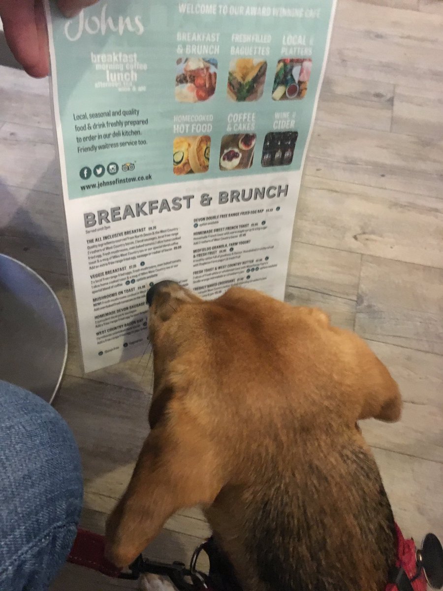 FitzTheBeagle's tweet image. Get the "All Inclusive!" #Sausages I ♥ #JohnsOfAppledore