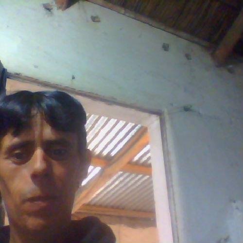 screen_less's tweet image. Feli