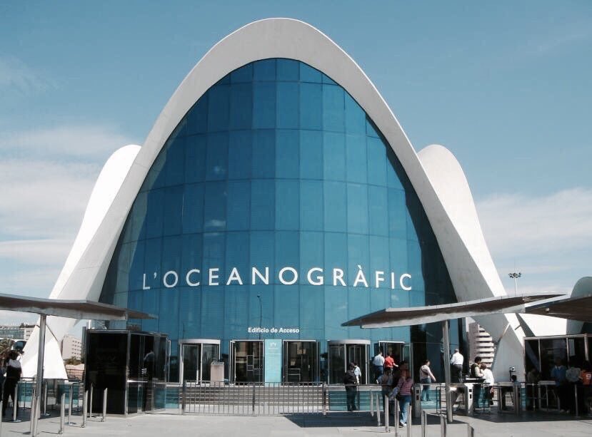 lagarpic's tweet image. Valencia, Spain 🇪🇸