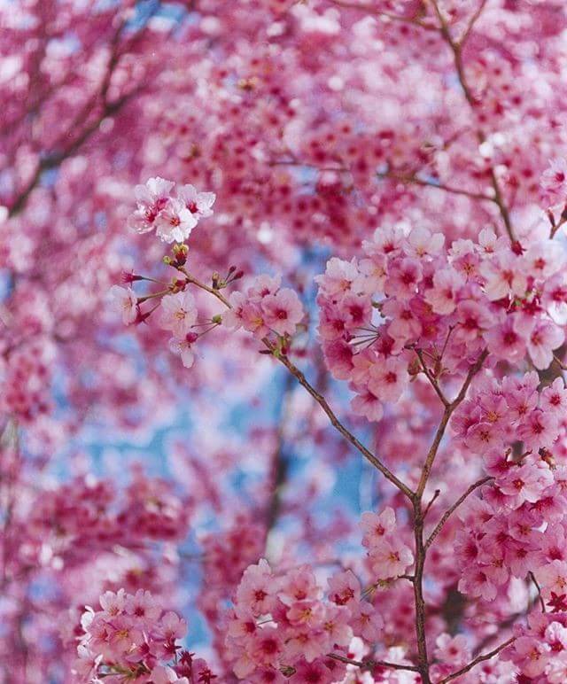 TubasaUnder715 tweet picture