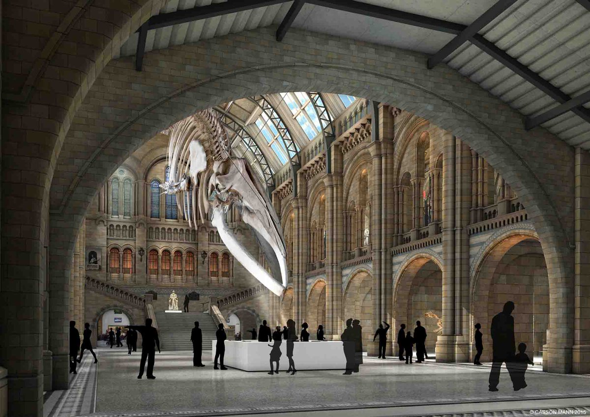 Natural History Museum tweet media