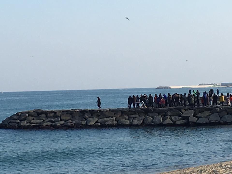 คนเกาหลีต่อแถวเพื่อถ่ายรูปให้เหมือนฉากในซีรีส์"도깨비"แถมยังมีพร๊อพให้เช่าอีก ทั้งดอกไม้,ผ้าพันคอ,ร่ม เอาให้เหมือนทุกอย่าง ใครๆก็เป็น도깨비ได้