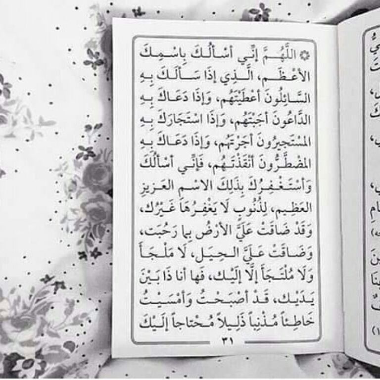 ؟؟ tweet media
