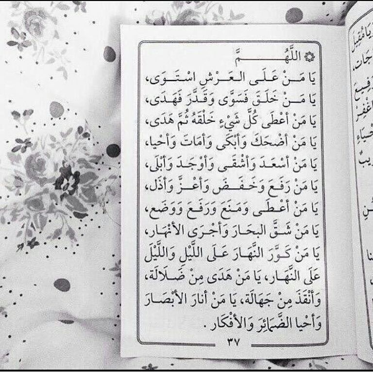 ؟؟ tweet media