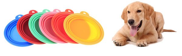 zeeka.co/product/collap… A must have for after that long walk or drive #dogsoftwitter #puppies #dogs facebook.com/zeeka.co/