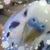 りおち tweet media
