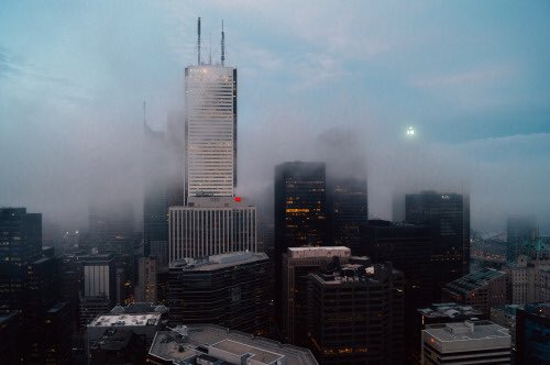 lagarpic's tweet image. Toronto, Canada 🇨🇦