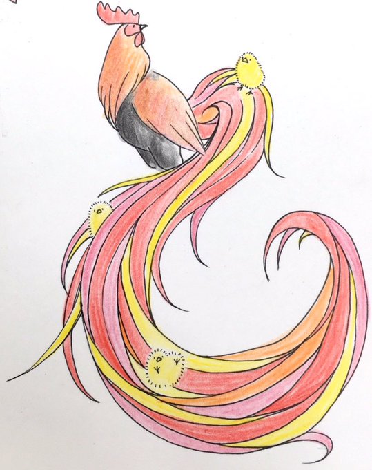 尾長鶏のtwitterイラスト検索結果