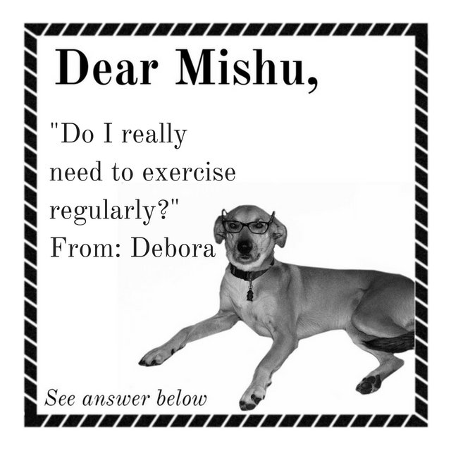 DearMishuDear's tweet photo. Yes! For a human, #exercise at least 30-45 minutes a day. Dogs even more! Exercise makes us happy! Can you take me out now? #advice https://t.co/h0d4hHdhJC