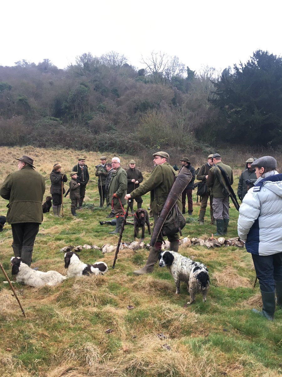 The Shoot (@thegun72) on Twitter photo 