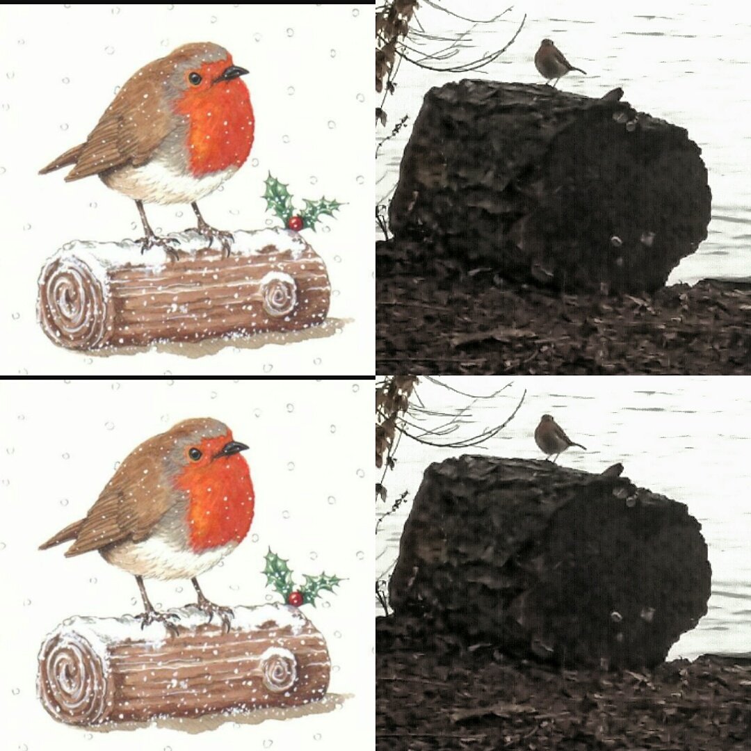 Pressure drop🎣 Happy days 3 in the net 🎣#HappyNewYear
#TeamBaitTech #Carpcouture #Triple-N