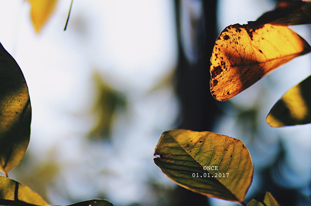 oncepage's tweet photo. ฉัน...
อยู่ตรงนี้ไม่ไปไหน

ยังคิดถึงเธอทุกวัน
ยังคงเดิมไม่เปลี่ยนผันไป

MEAN 🍂 https://t.co/d7e6GOI82f