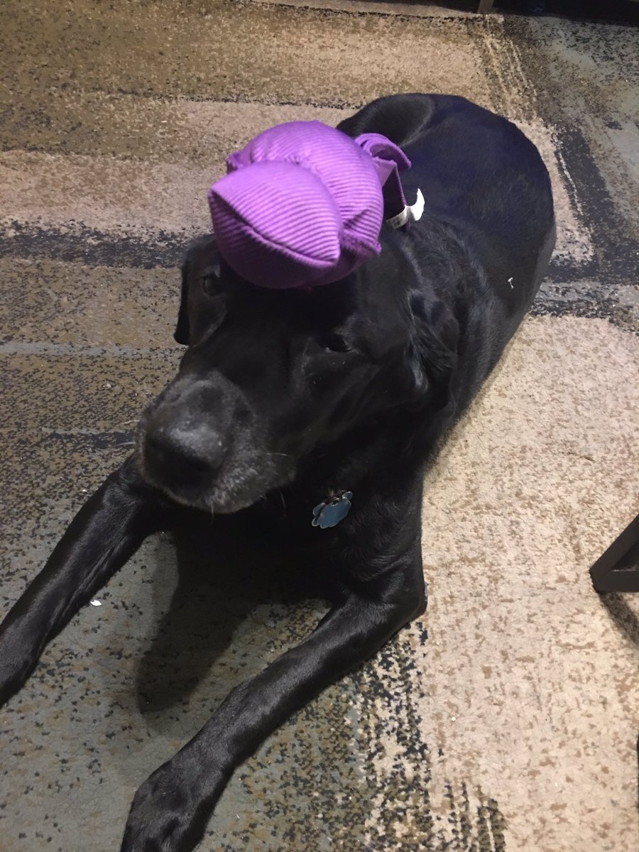 Ryan :slight_smile: tweet media