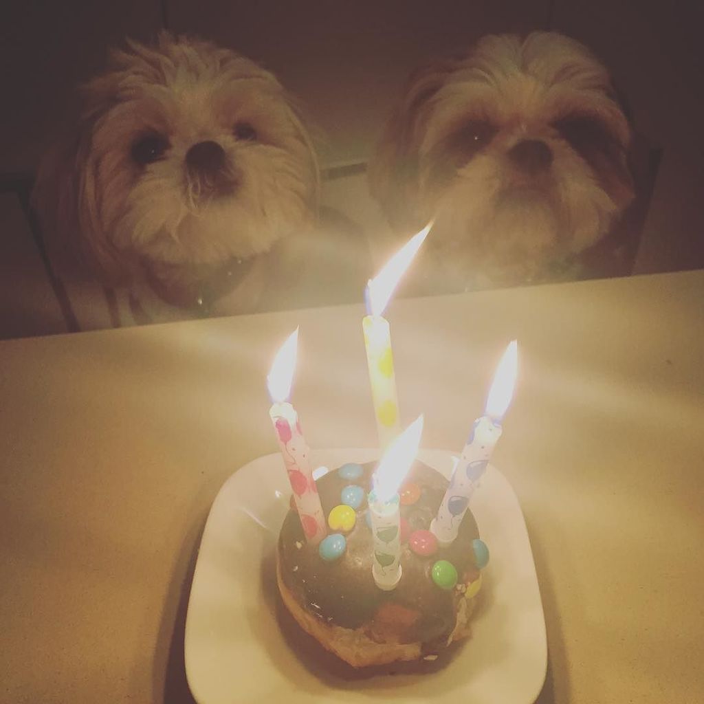 Happy birthday darling louis !
Prince of Tel aviv !