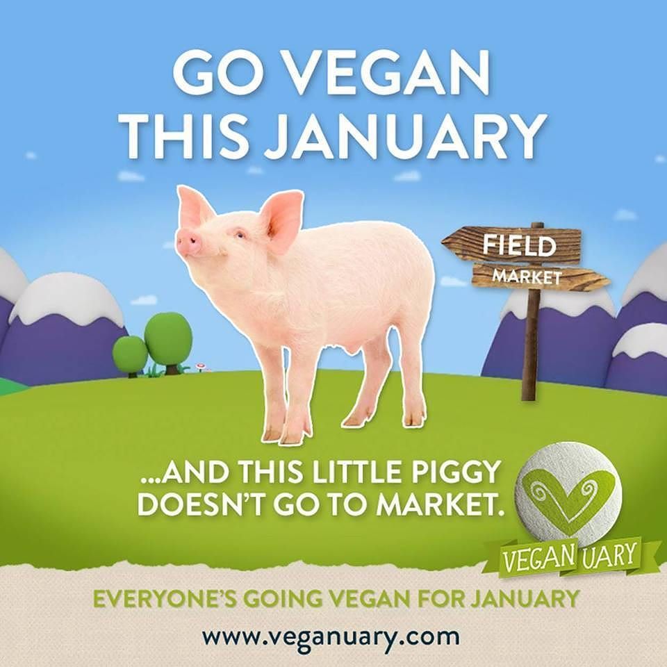 VeganNewbs's tweet photo. You can do it :) #vegan #veganism #crueltyfree #plantpowered #vegansofig #vegansofinstagram #veganuary  #newyear #2… https://t.co/EMKFCvUdLs