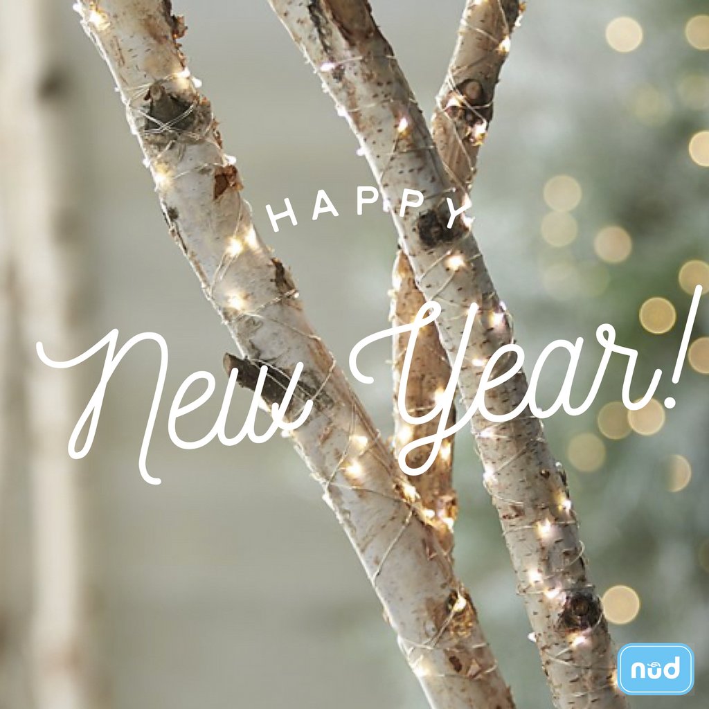HAPPY NEW YEAR! 

May this year ahead fill you with joy, happiness, new opportunities and the most "nude" food! 

#FoodIsBetterNude ✌🏼