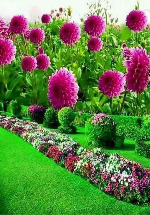 jawad321581's tweet photo. لا أقول كل عام و أنتم بخير .. لكن أقول أنتم الخير لكل عام ....... https://t.co/BlEWR4XGnm