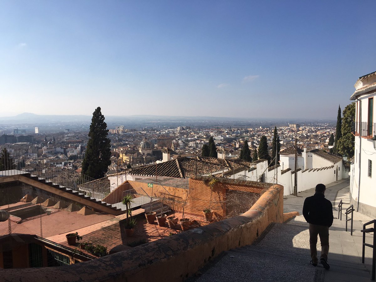 BettySala tweet media