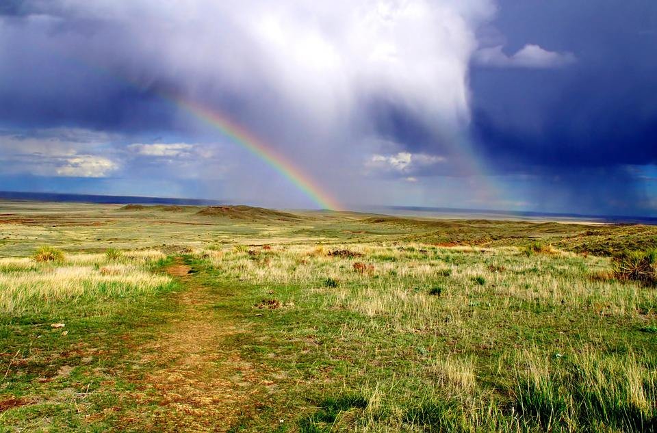 ColoringAdult's tweet image. Happy 2017!  May your year be filled with all the colors of the rainbow!