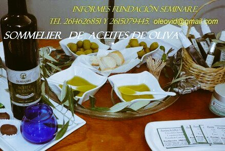 OLEOVID's tweet photo. AOVE ARAUCO @aceites_banon @AceitesHeraldo @Betiflu @BodegaStocco @GarciaZuloaga @stella_vannucci https://t.co/e64F8DPJri
